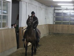 IMG_3020_web